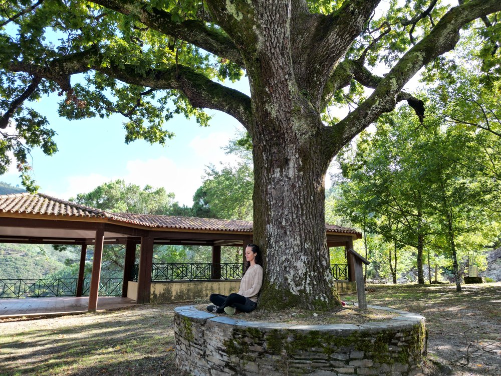 Under the old oak