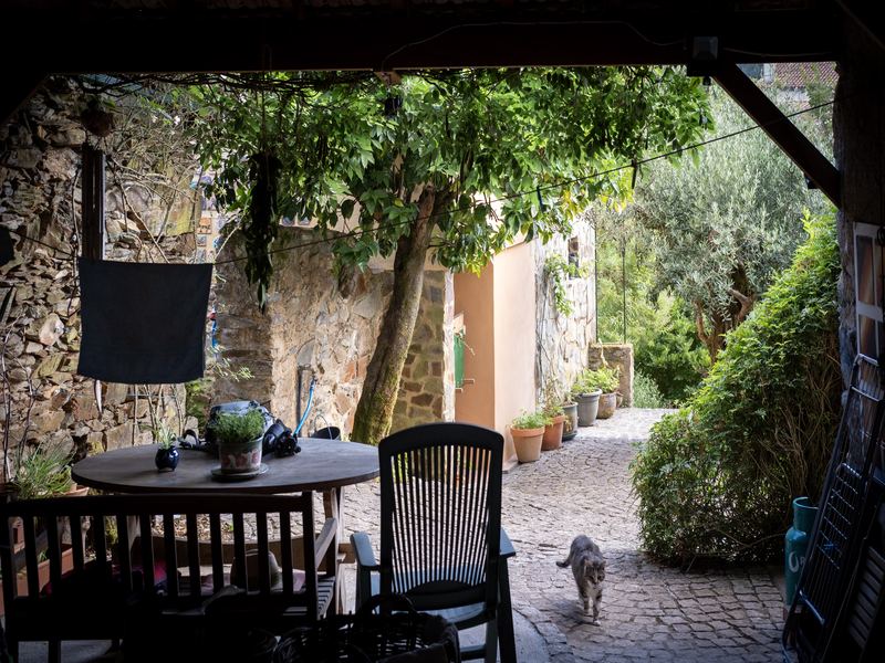 Artistic homestead courtyard, Mortágua