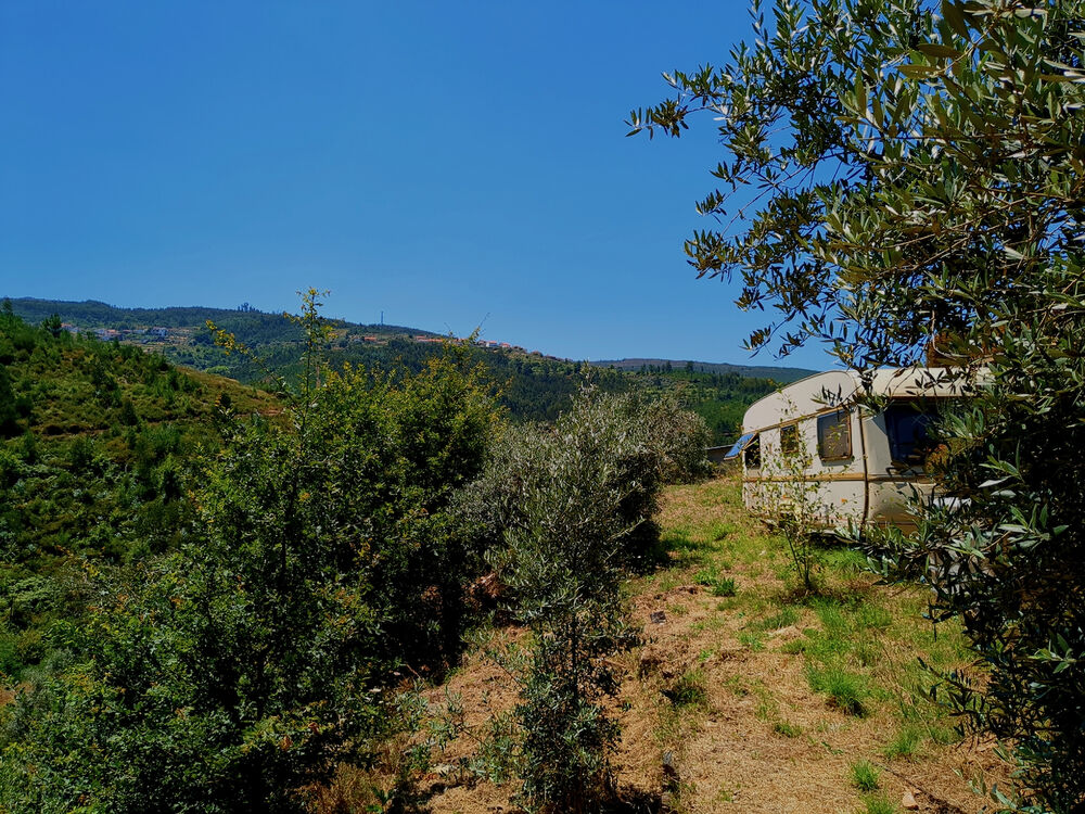 Valley land with caravan, Benfeita — sold
